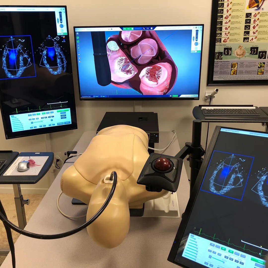 First Cardiology Consultant